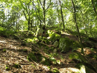 Burgstall Warberg