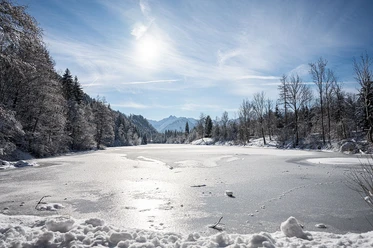 Winterlandschaft am Auwaldsee bei Fischen im Allgäu