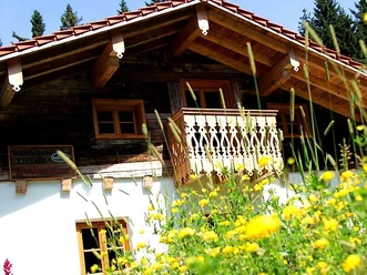 1752504137349-IMG_9851(1)
