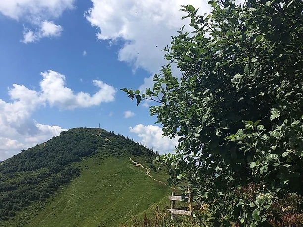 Blick zum Riedbergerhorn