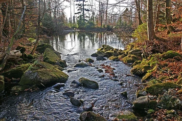 Sagwasserklause