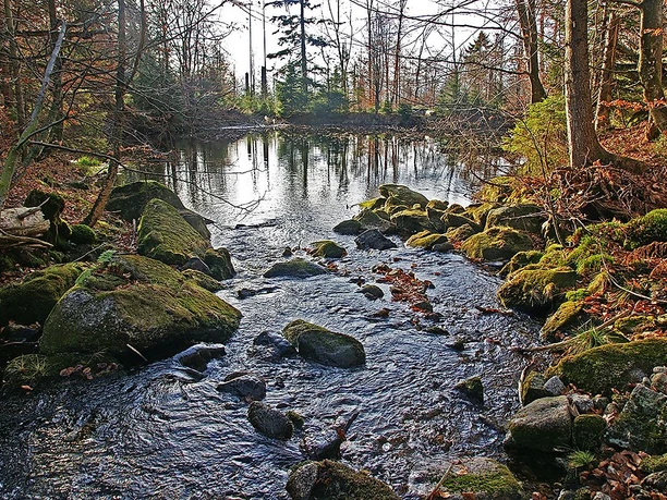 Sagwasserklause