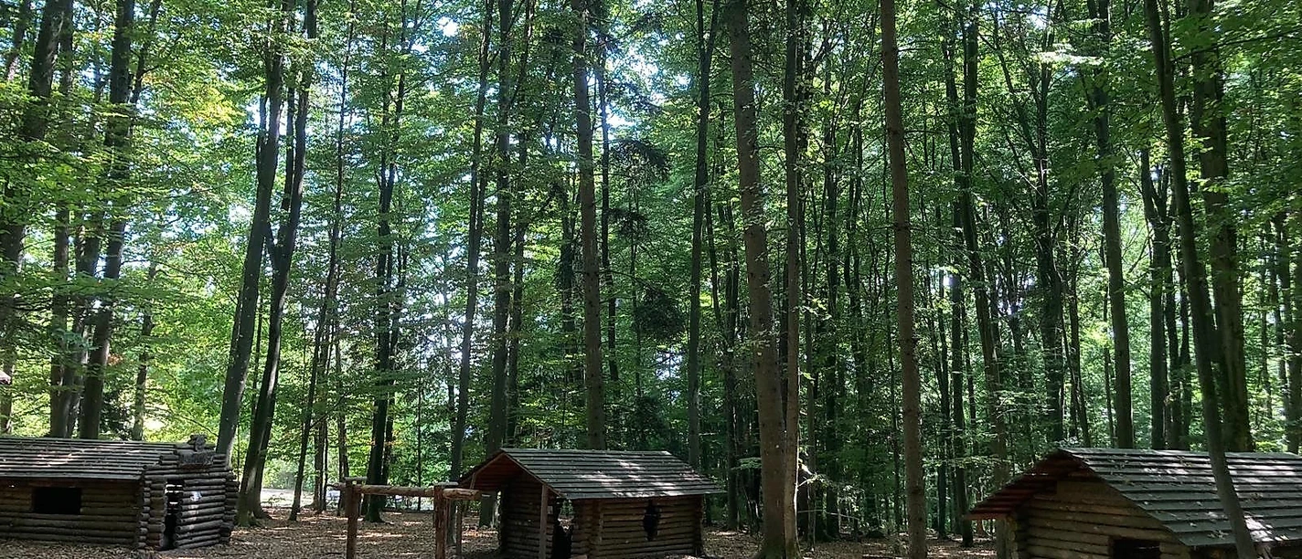 Hüttendorf 3 Andrea_Bonauer.jpg