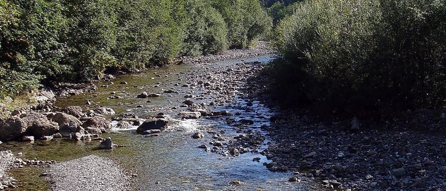 Radtour Balderschwang: über Max-Theo Weg entlang der Bolgenach