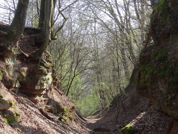 Blick in die Lohrer Klapper