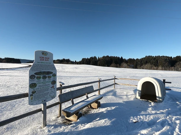 Winterwandern auf dem Milchweg