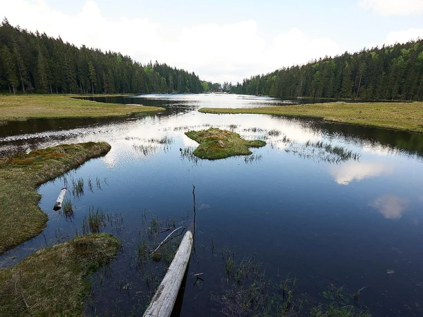 Großer Arbersee - Arberseehaus im Hintergrund