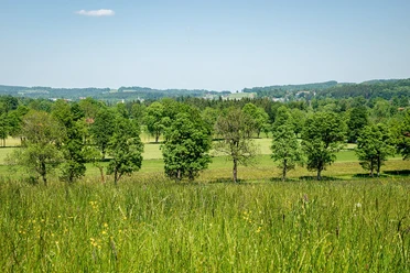 Blick auf den Stadlberg