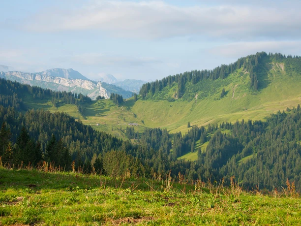 Aussicht am Gelbhansekopf bei Balderschwang