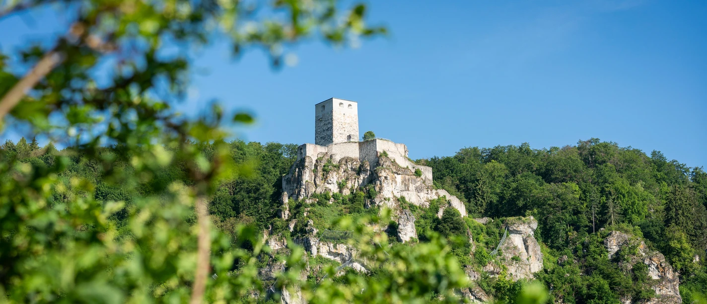 Burgruine Wellheim