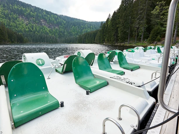 Großer Arbersee Tretboote Bild 1
