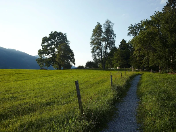 Weg durch die Wiesen
