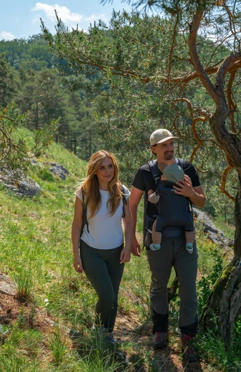 Alpiner Steig bei Schönhofen