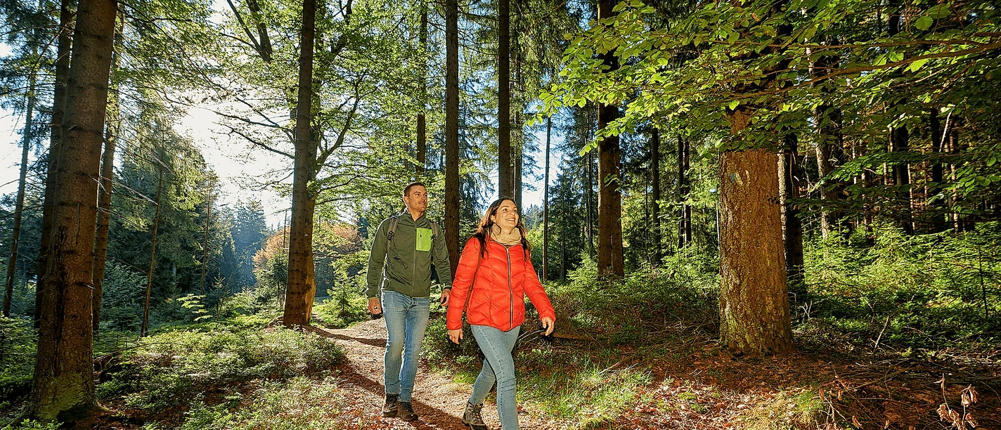 Wanderer im Fichtelgebirge