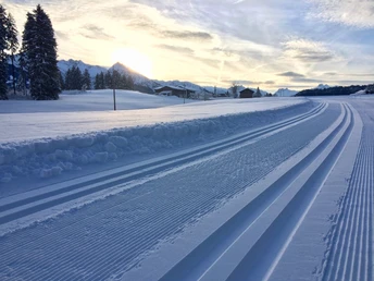 Wanderweg neben der Langlaufloipe bei Untermühlegg