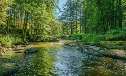 Naturschutzgebiet Waldnaabtal © Farbflair Fotografie
