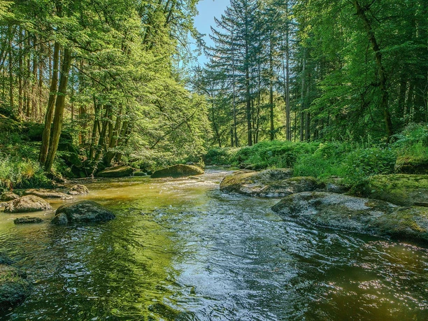 Naturschutzgebiet Waldnaabtal © Farbflair Fotografie