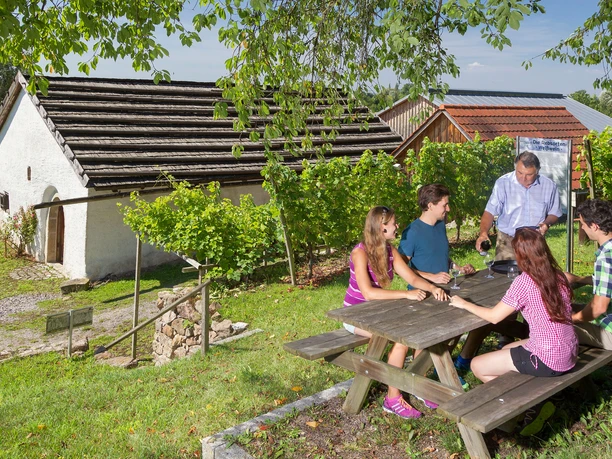 Weinverkostung im Baierweinmuseum