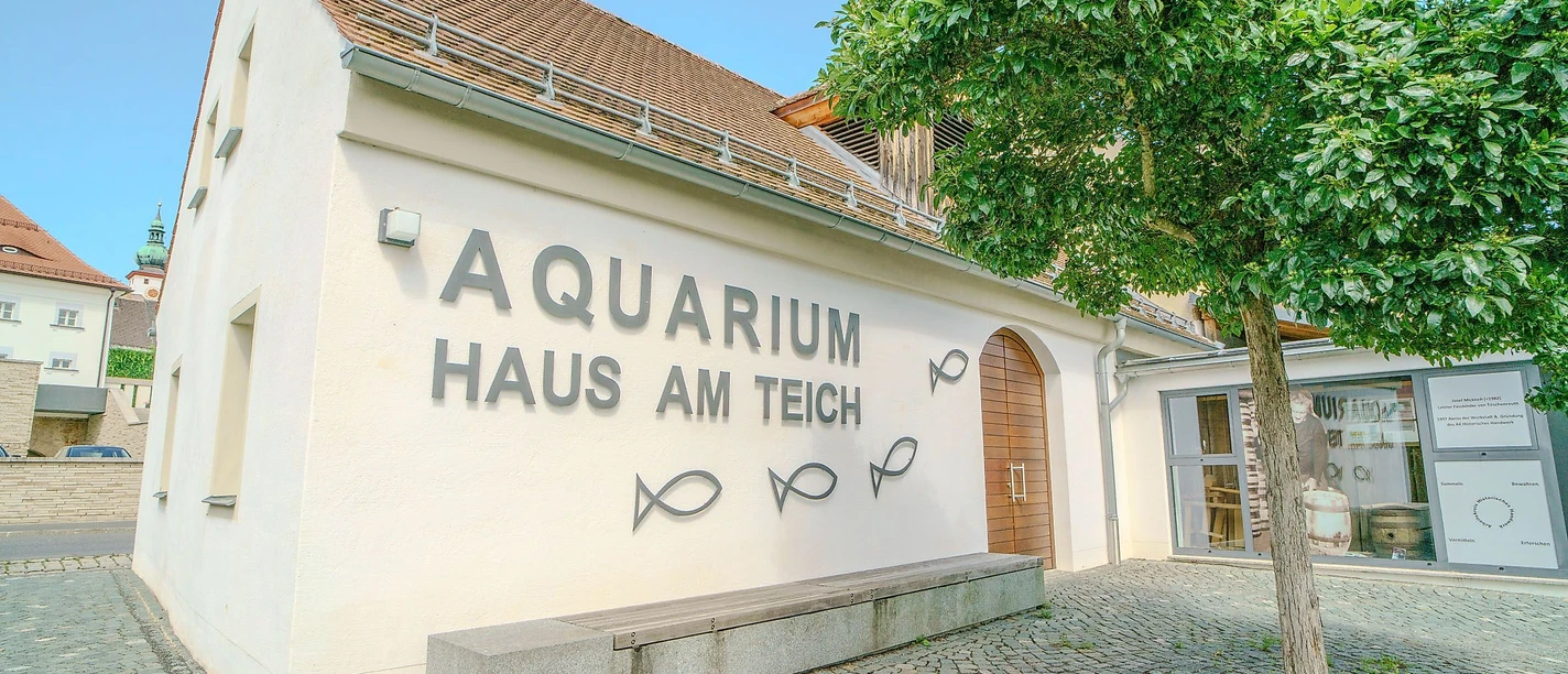 Haus am Teich