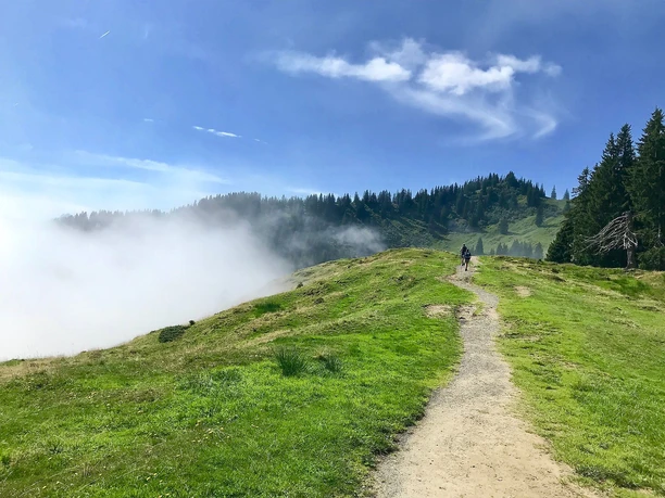Hörner Panoramaweg Richtung Rangiswanger Horn