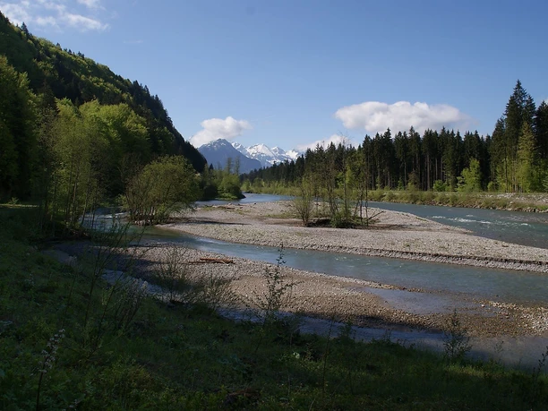 Auwaldsee mit dem Kinderwagen - Spaziergang ab Fischen
