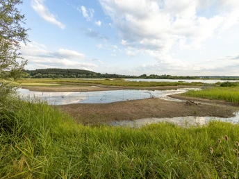 Neu-Ulm_Plessenteich©Heiko-Grandel (12).jpg