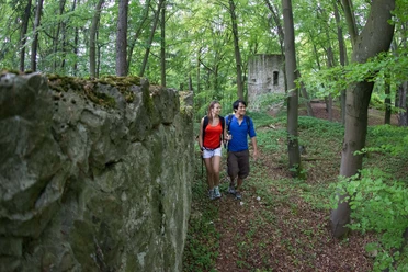 Burgruine Ehrenfels