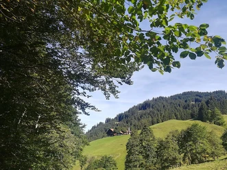 Blick auf den Alpen-Gasthof Gaisalpe