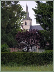 Bild 102