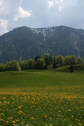 Seeberg von Hochkreuth