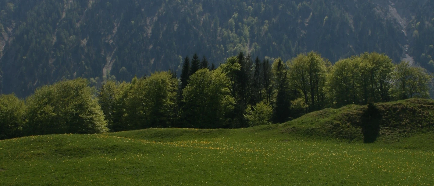 Seeberg von Hochkreuth
