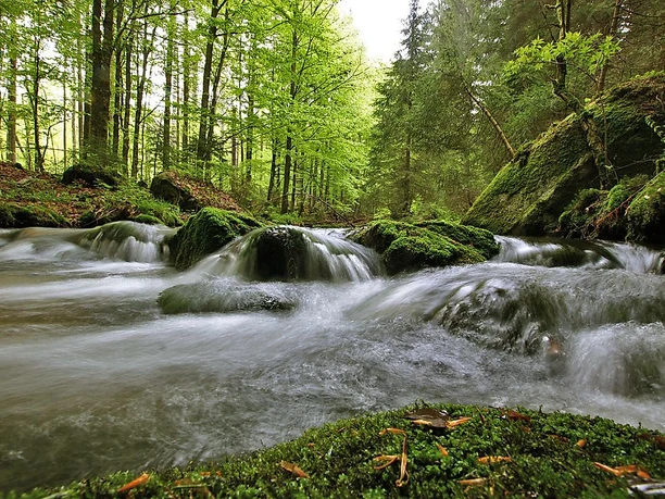 Sagwasserbach