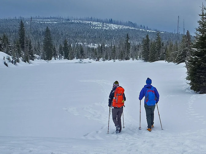Winterwandern Reschbachklause