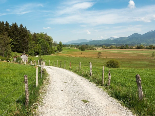 Wanderweg mit Blick auf das Murnauer Moos