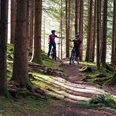 Radtour durch die Wälder