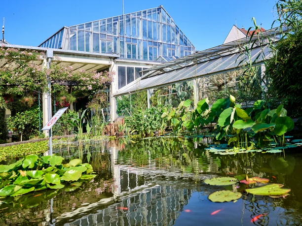 Botanischer Garten Erlangen