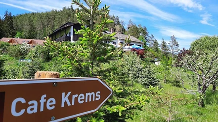 Hier gehts lang zum Café Krems