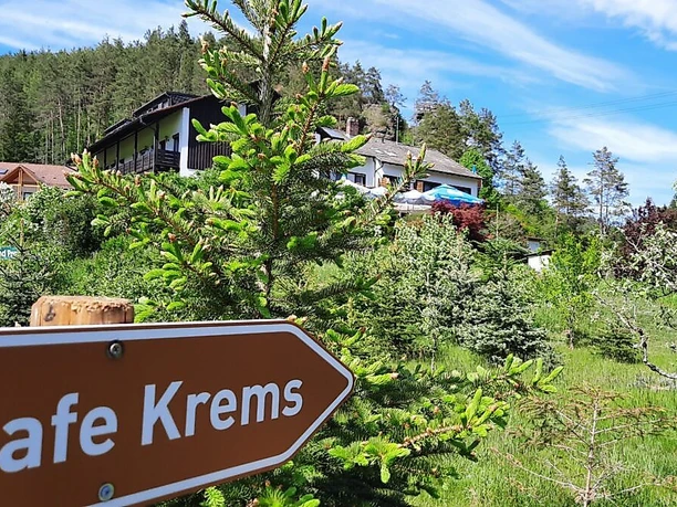 Hier gehts lang zum Café Krems