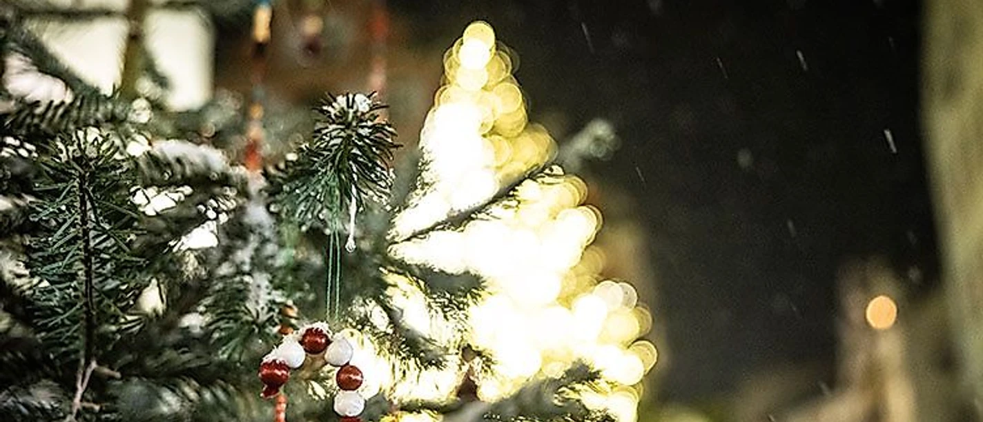 Weihnachtsbaum Im Schneeregen Weihnachtsbaum Im Schneeregen