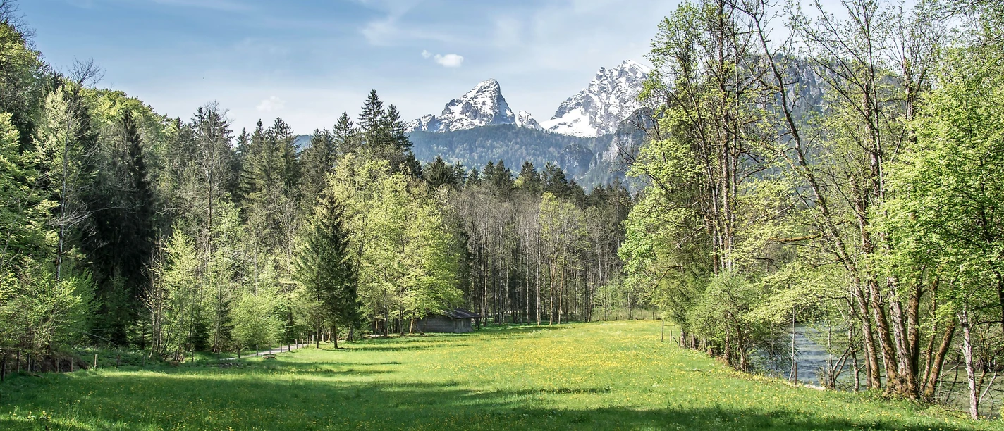 Watzmann Frühling (1)