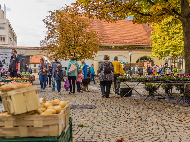 Bauernmarkt Günzburg