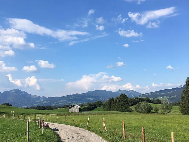 Blick auf den Grünten