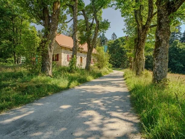 Waldhaus im Steinwald