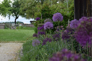 Kreislehrgarten Floß