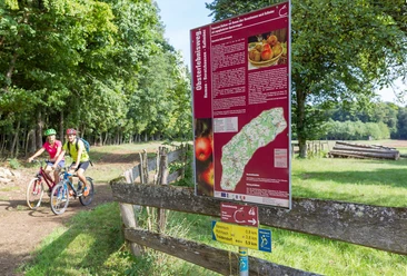Am Obsterlebnisweg bei Murrenberg