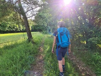 Am Weg Nahe Rohrbach