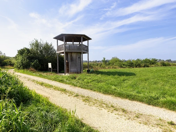 Beobachtungsturm am Schurrsee im Gundelfinger Moos
