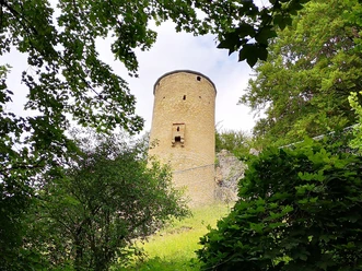 Blick auf die Burgruine Loch