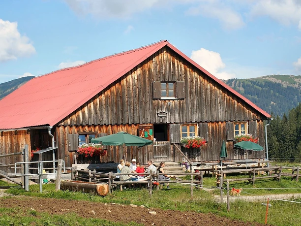 Fahnengehren Alpe zwischen Ofterschwanger und Sigiswanger Horn