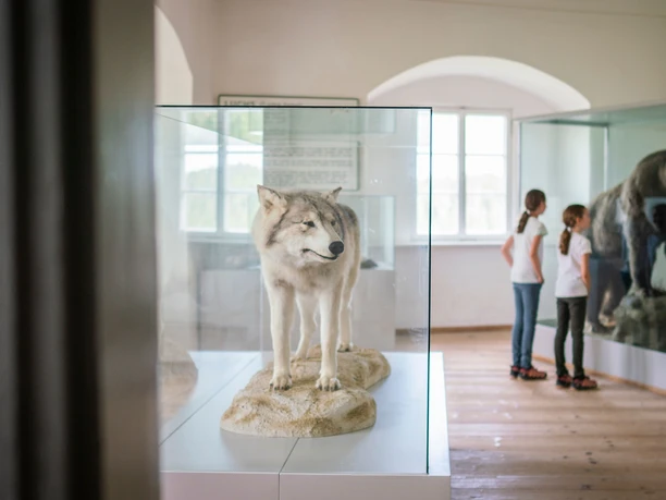 Burgmuseum im Schloss Rosenburg